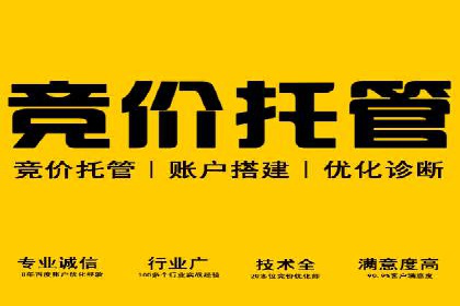 落地页在SEM优化中的重要性及成功案例